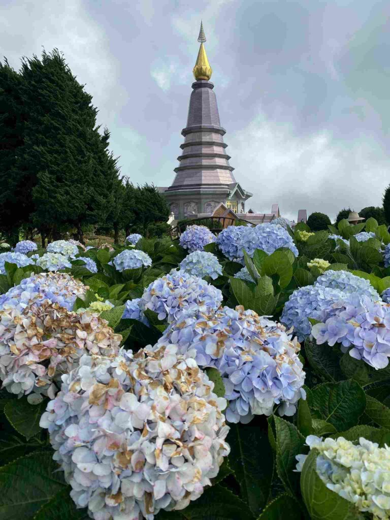 Doi Inthanon