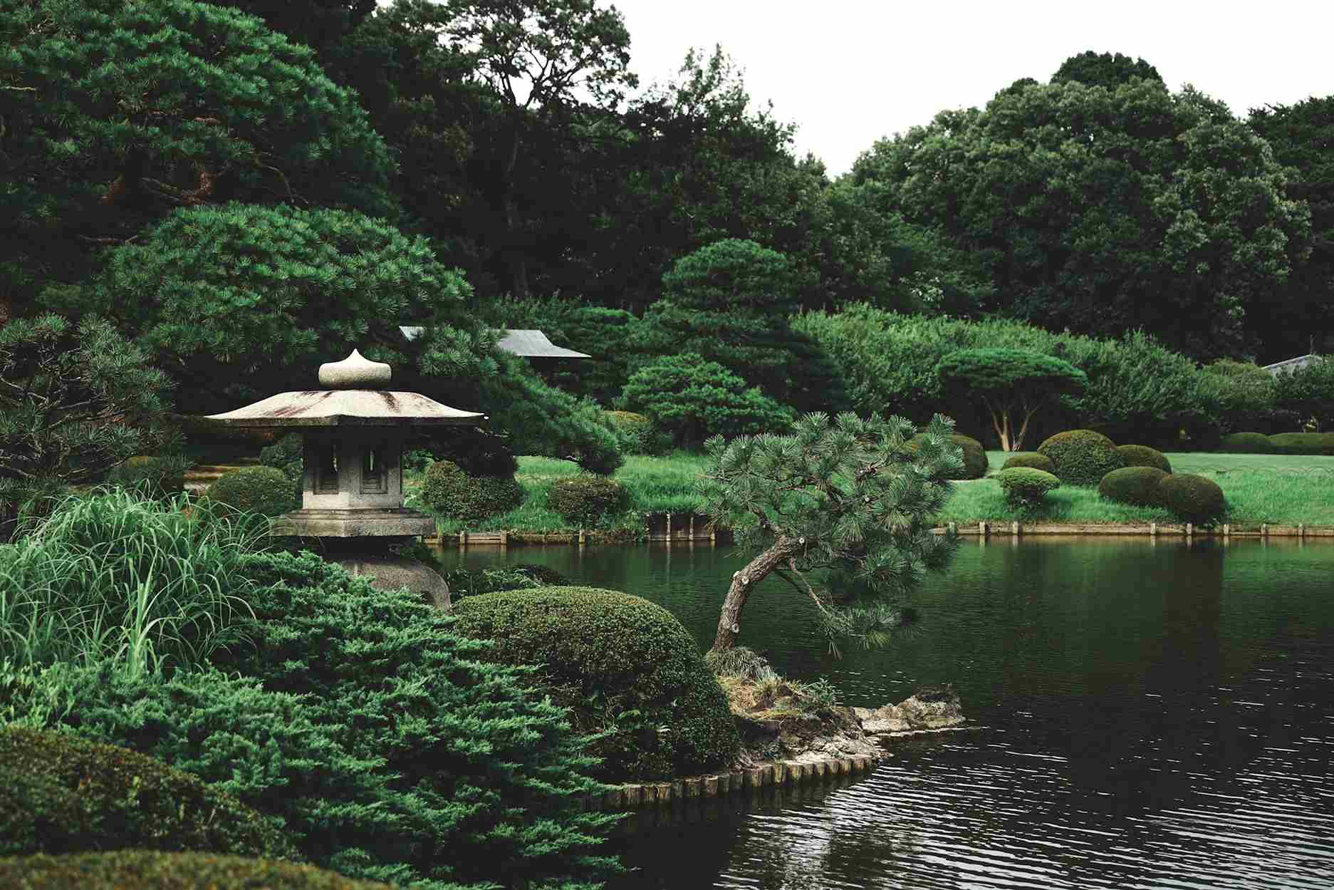 Shinjuku Gyoen National Garden
