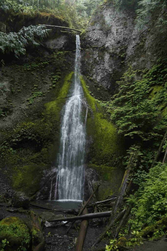 Olympic National Park