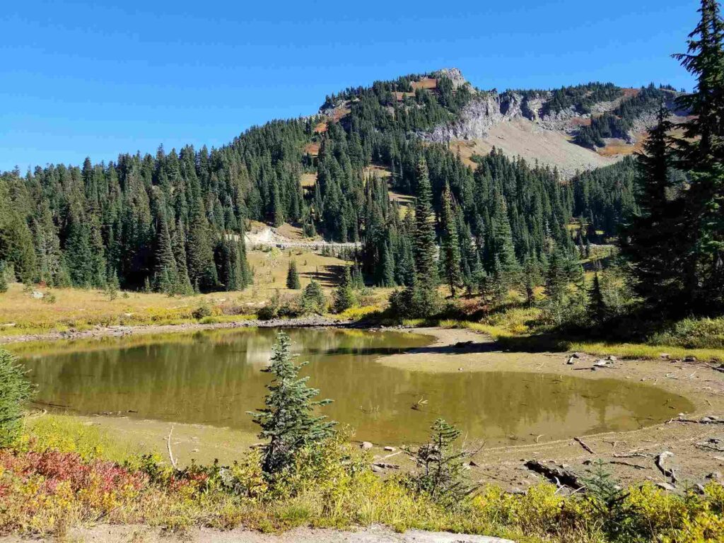 Tipsoo Lake