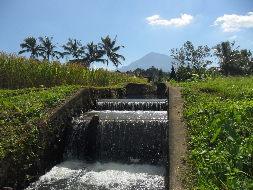The Subak System of Bali