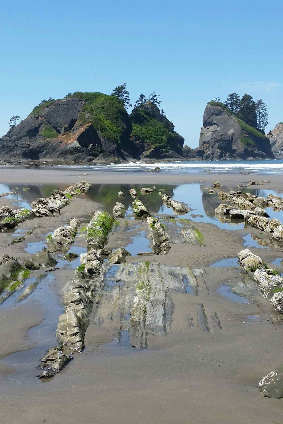 Olympic Peninsula