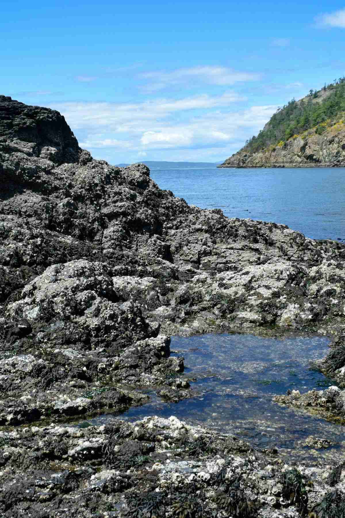 Whidbey Island