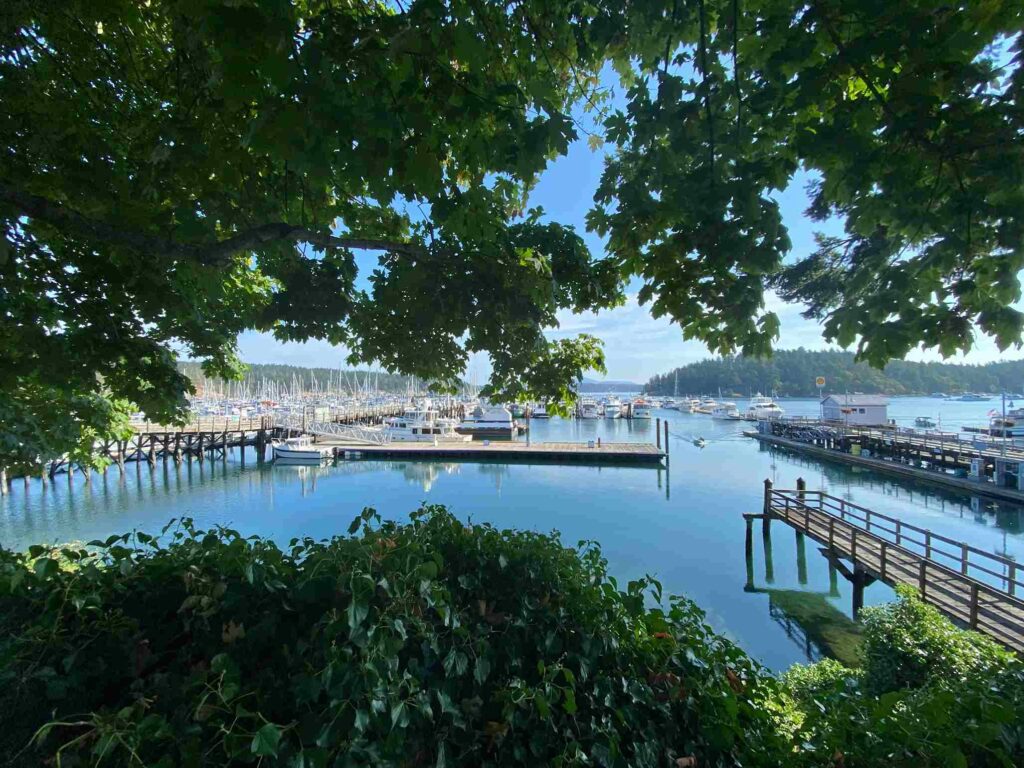 Friday Harbor