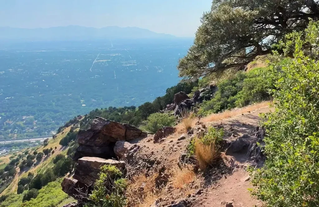 Mount Olympus Trail