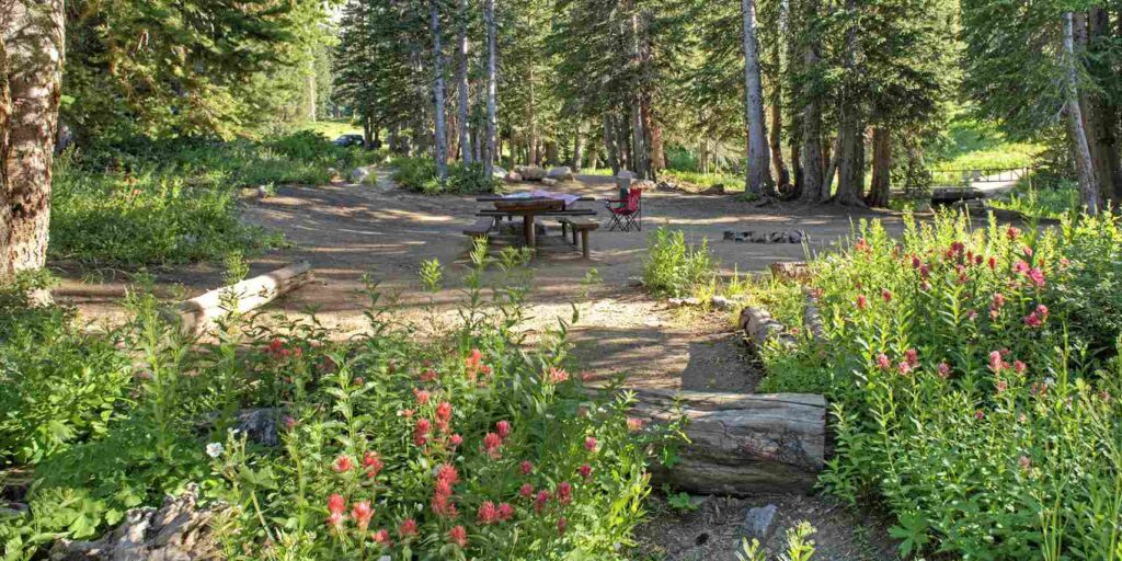 Albion Basin Campground
