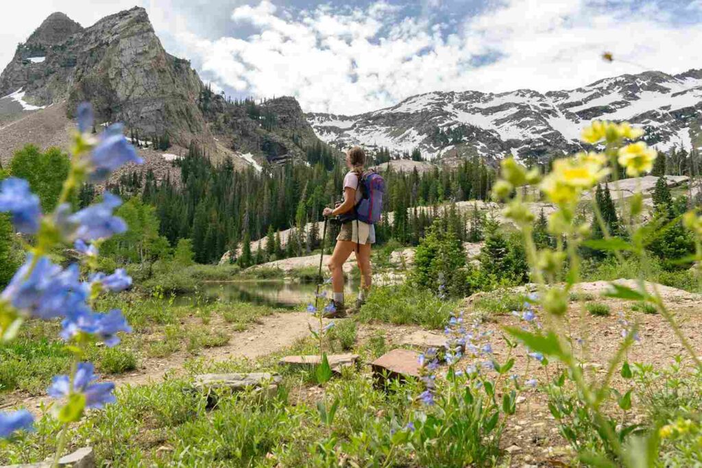 Wasatch Penstemon