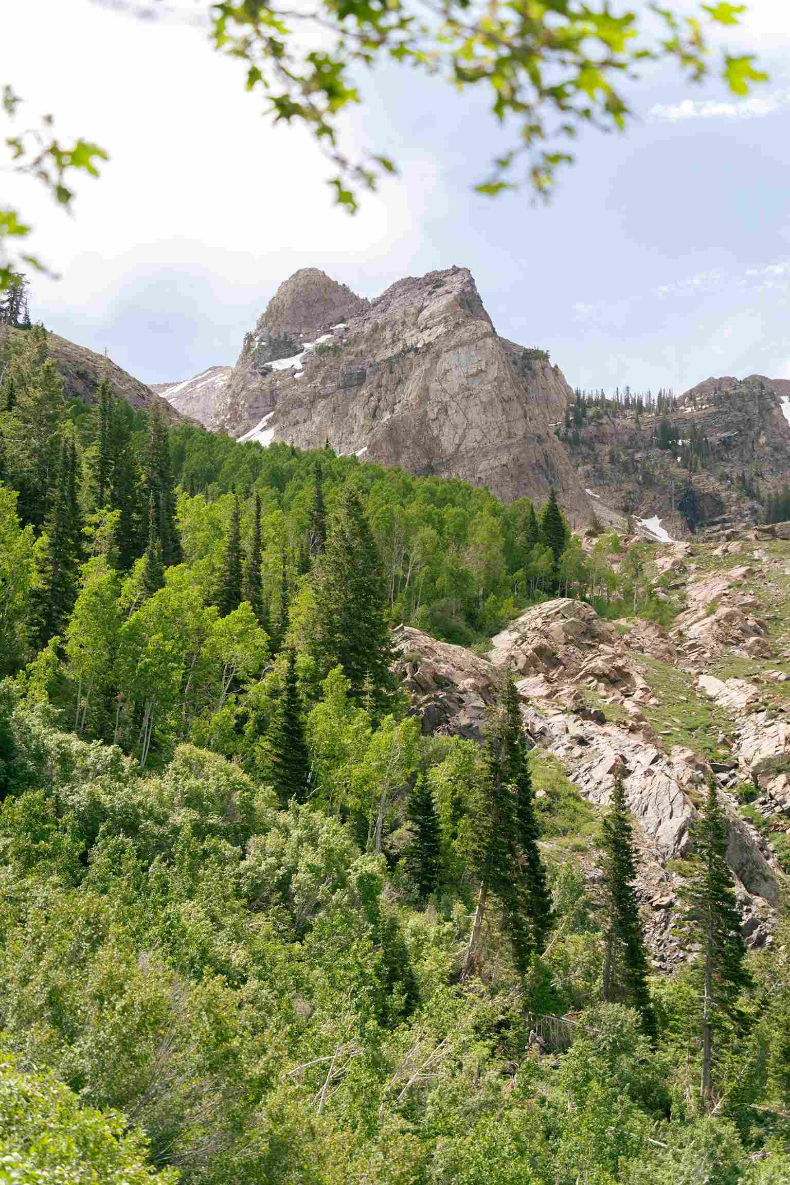 Big Cottonwood