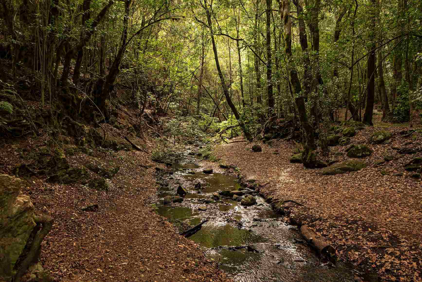 La Gomera