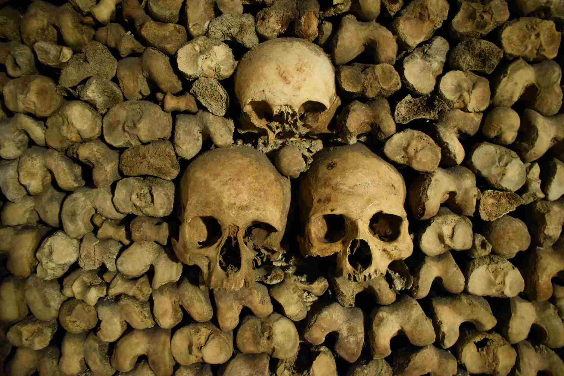 Are the Paris Catacombs Worth It?