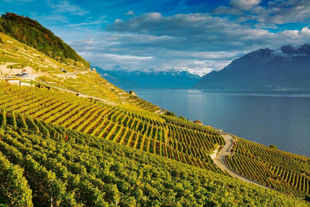 Lac Léman