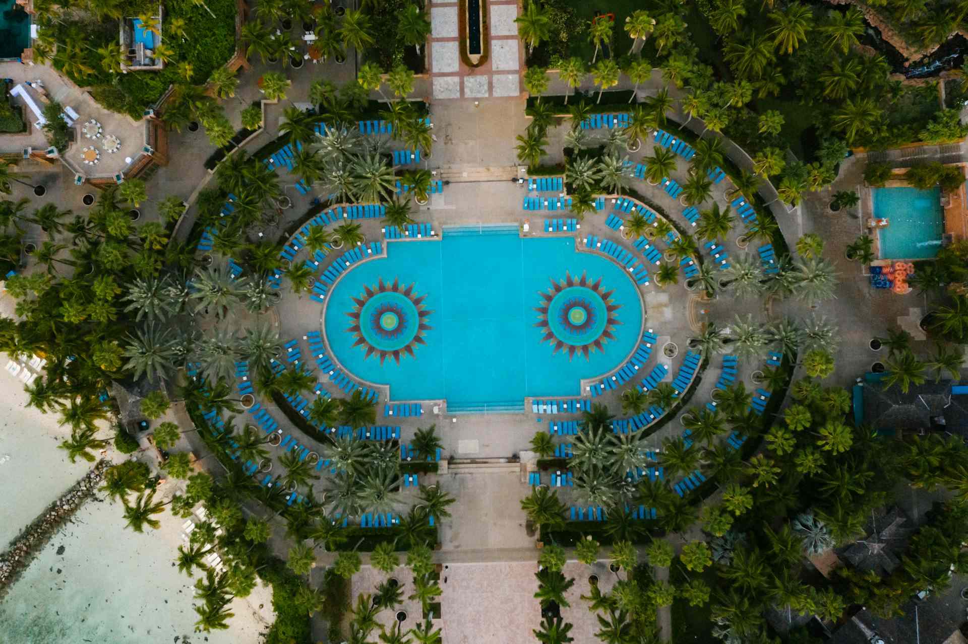 Blue Loungers Around the Royal