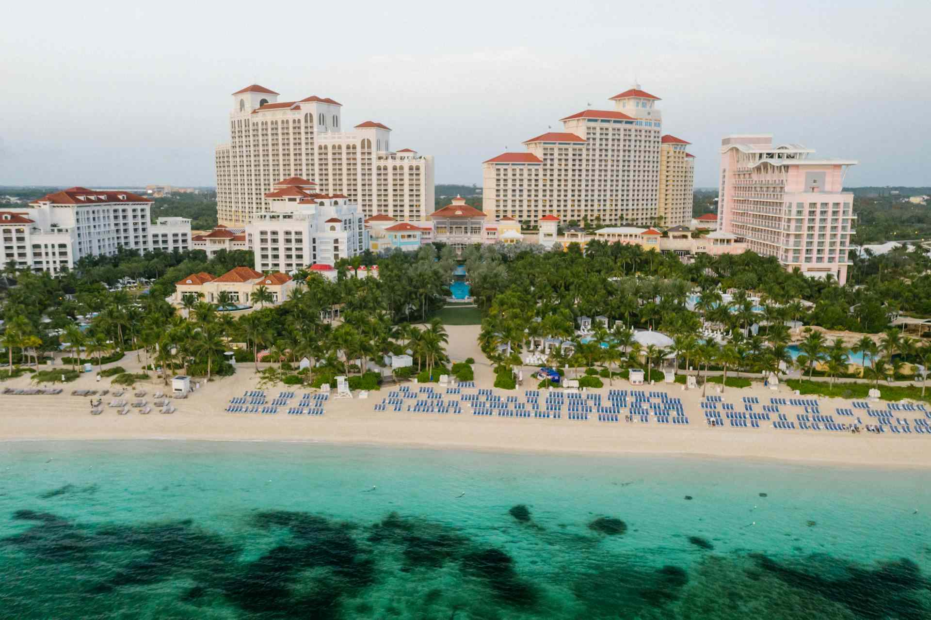 The Reef