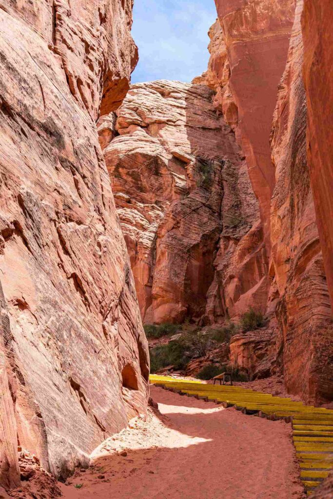 Canyon X