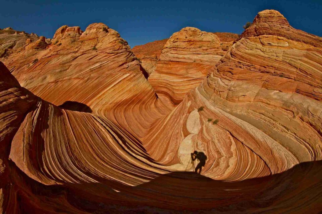The Wave