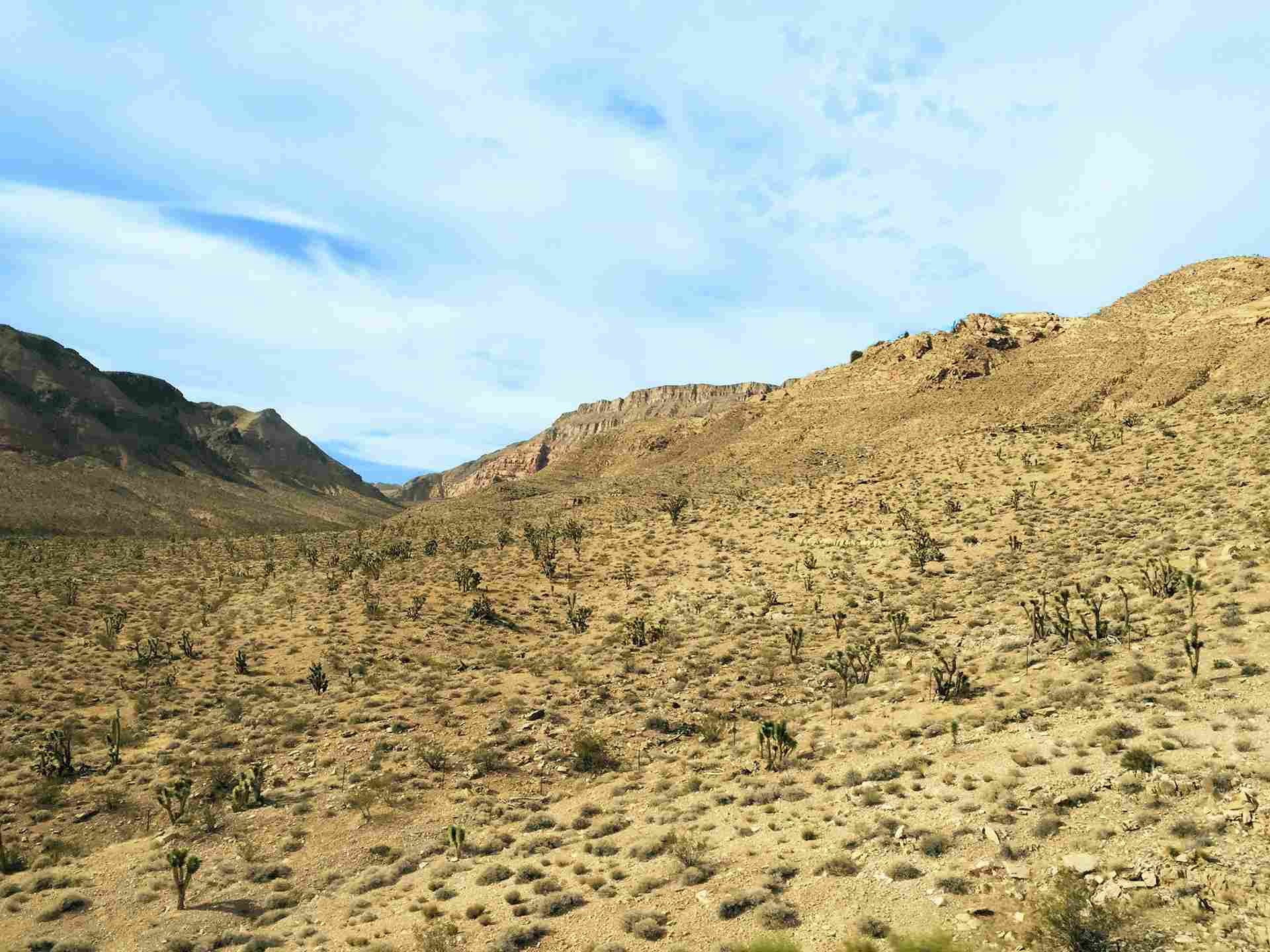 Mojave Desert