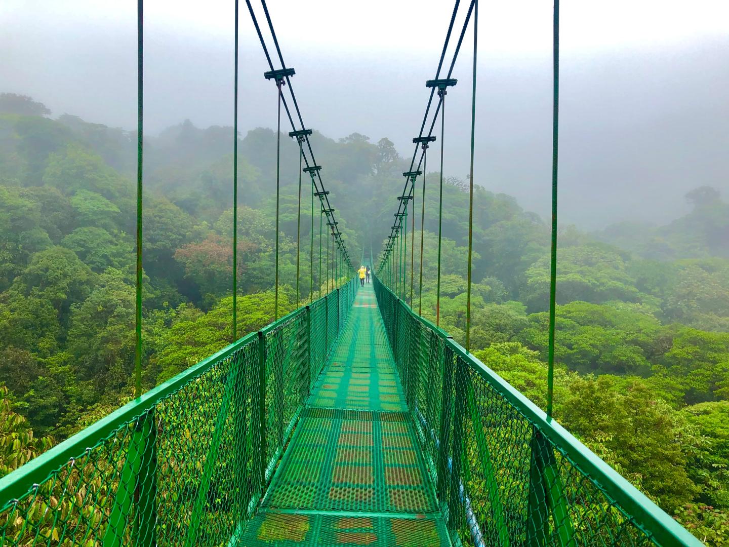 Monteverde Cloud Forest