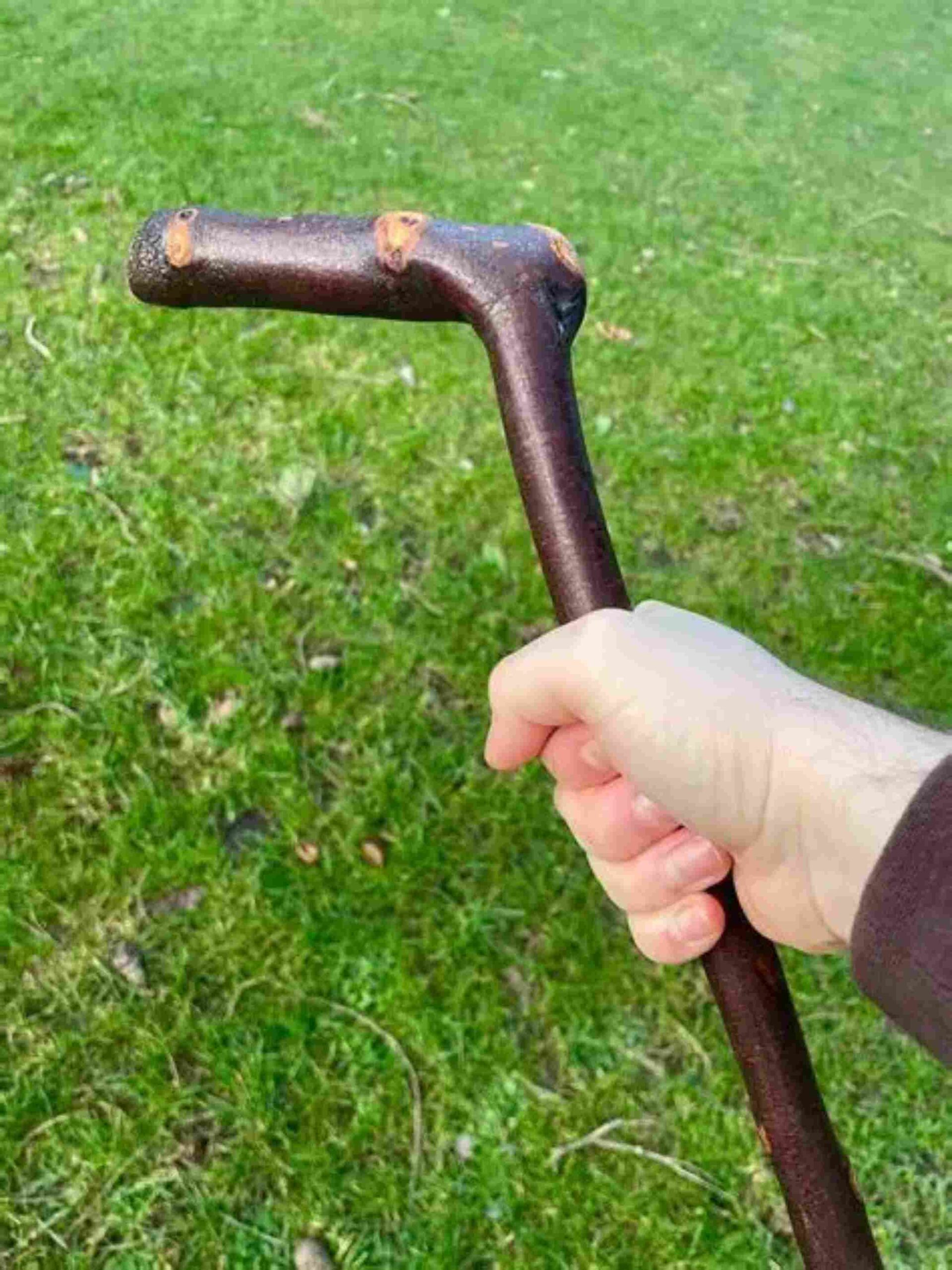 Walking Stick