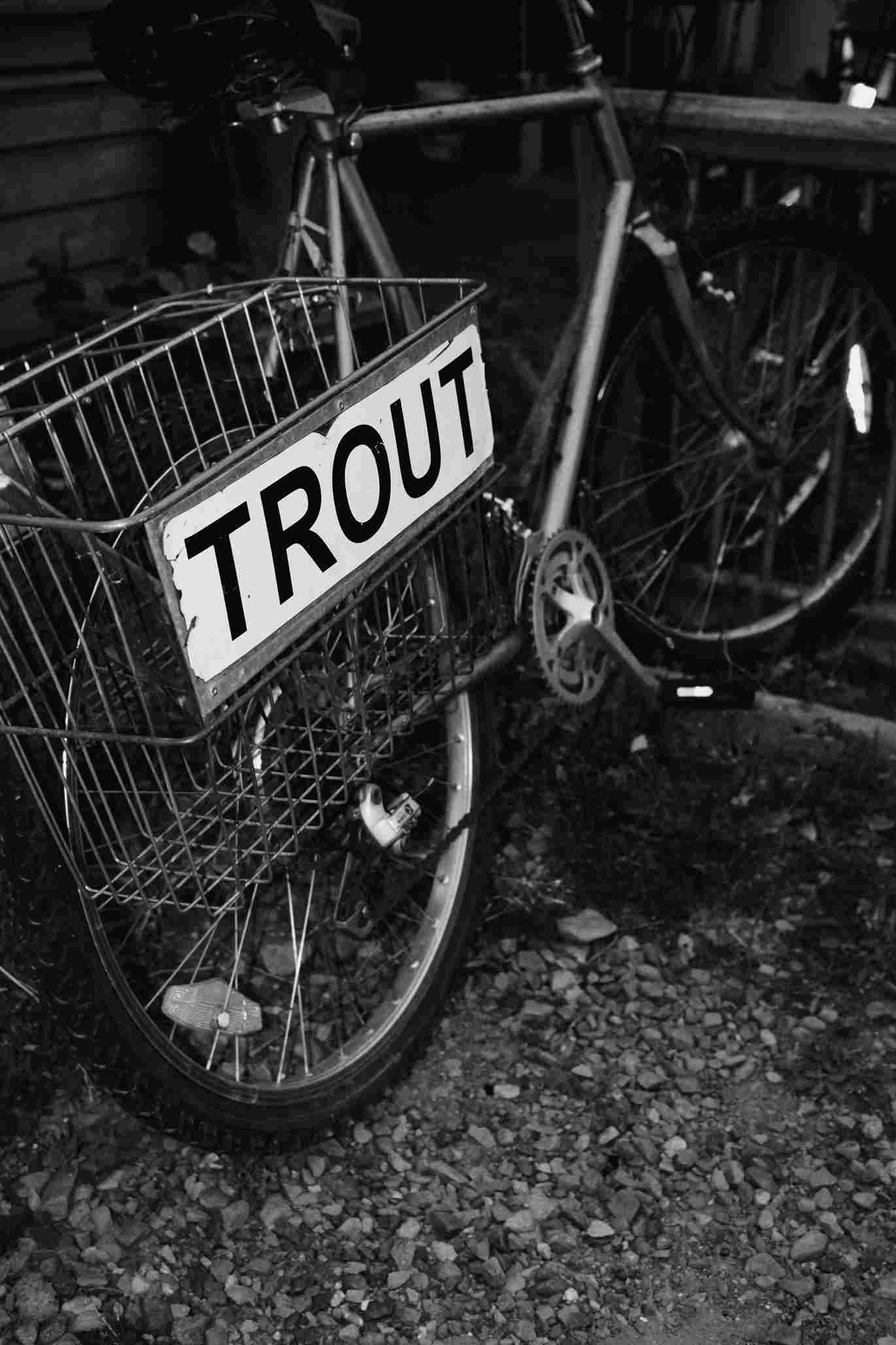 Bike on the Gitchi-Gami State Trail