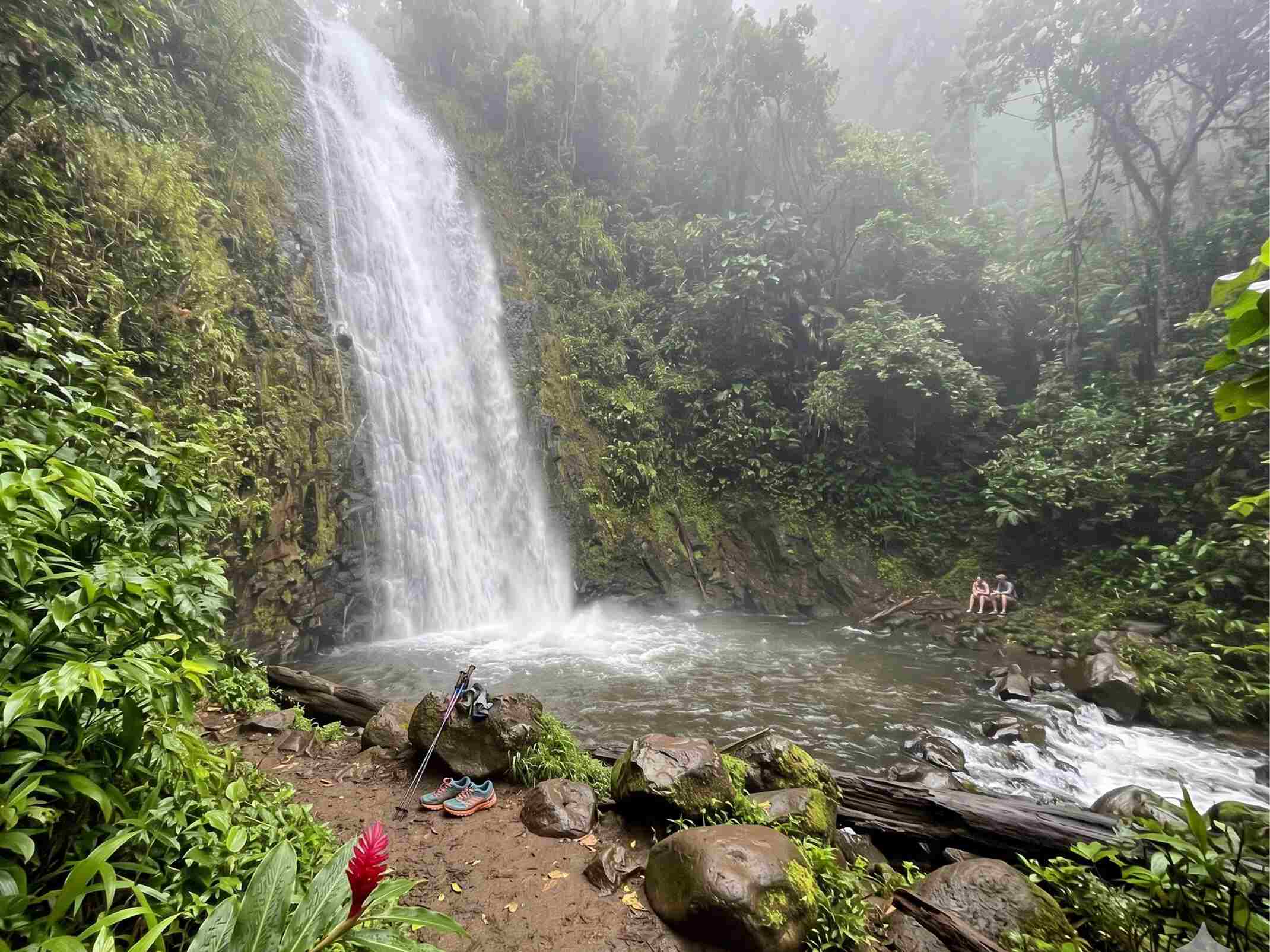 Mānoa Falls Trail