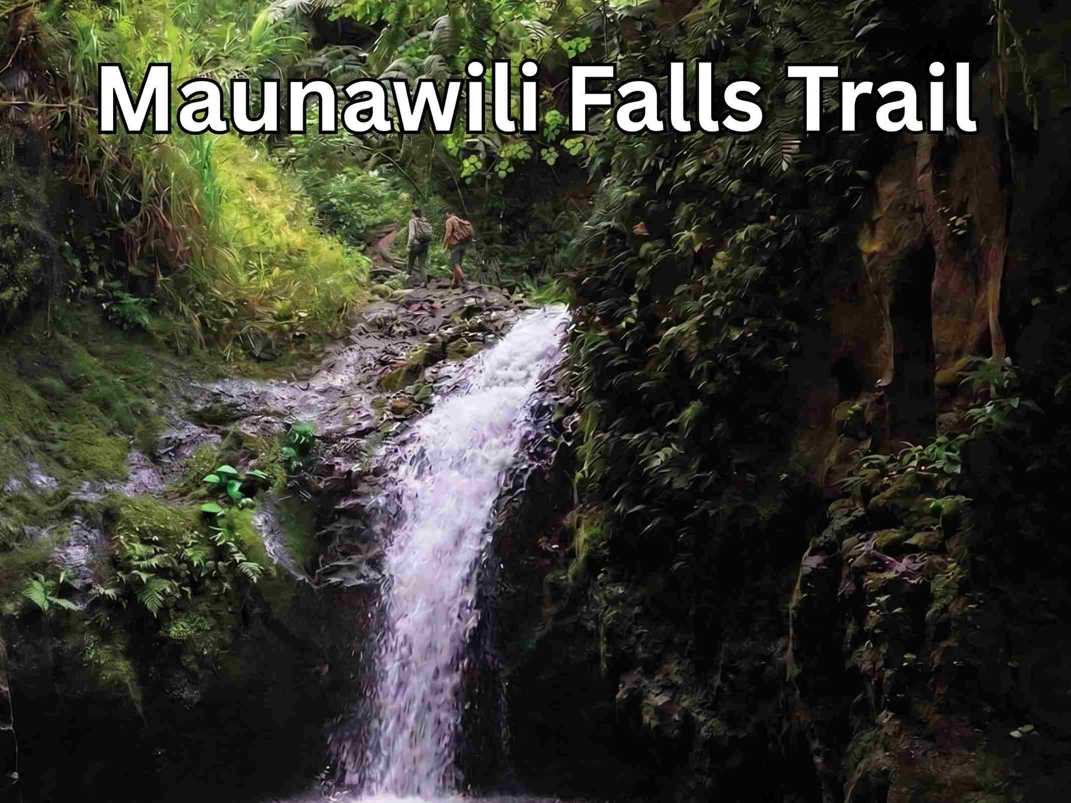 Maunawili Falls Trail