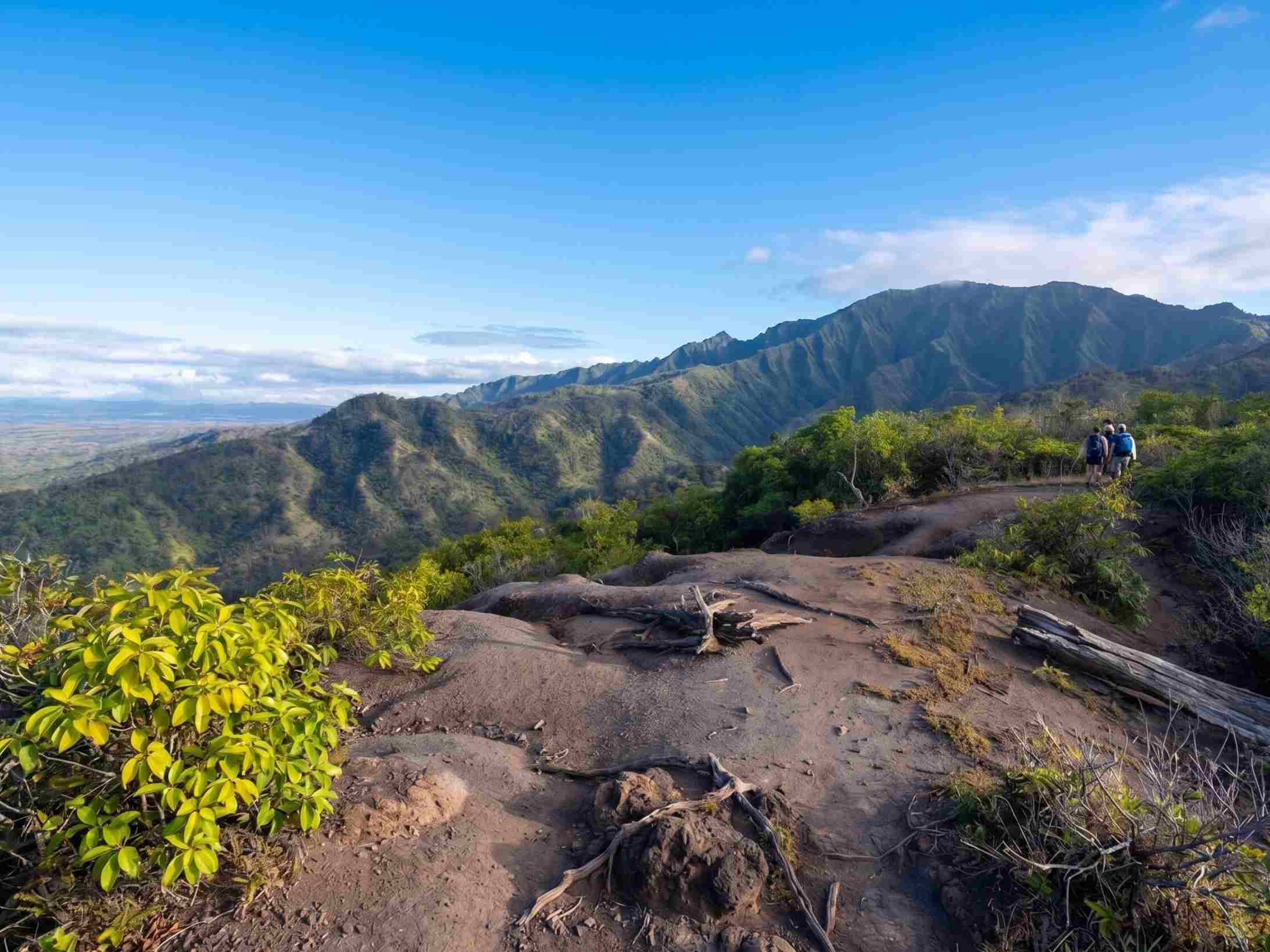 Mokulēʻia Trail