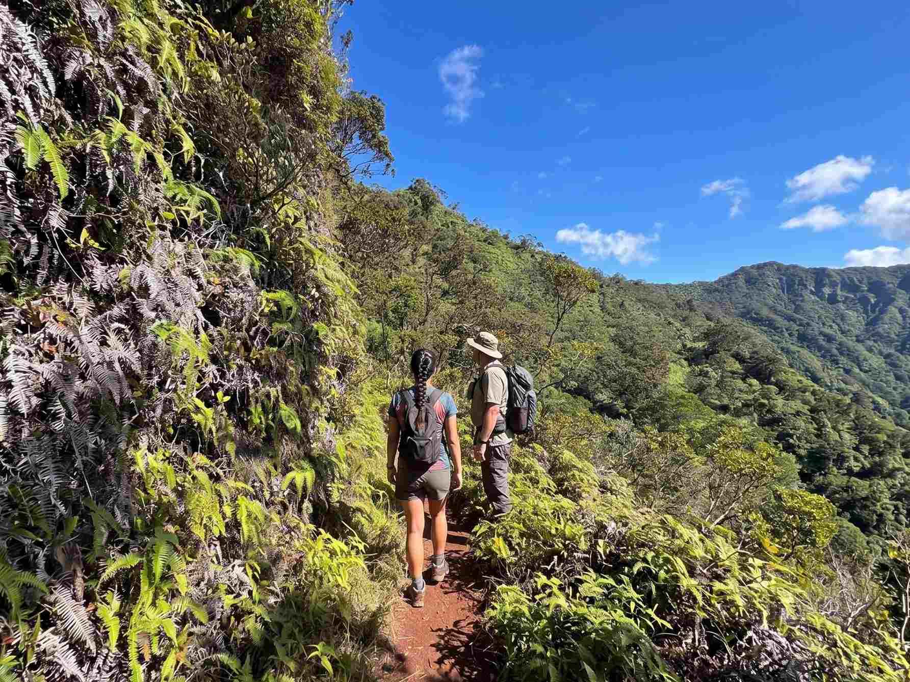 Poamoho Trail