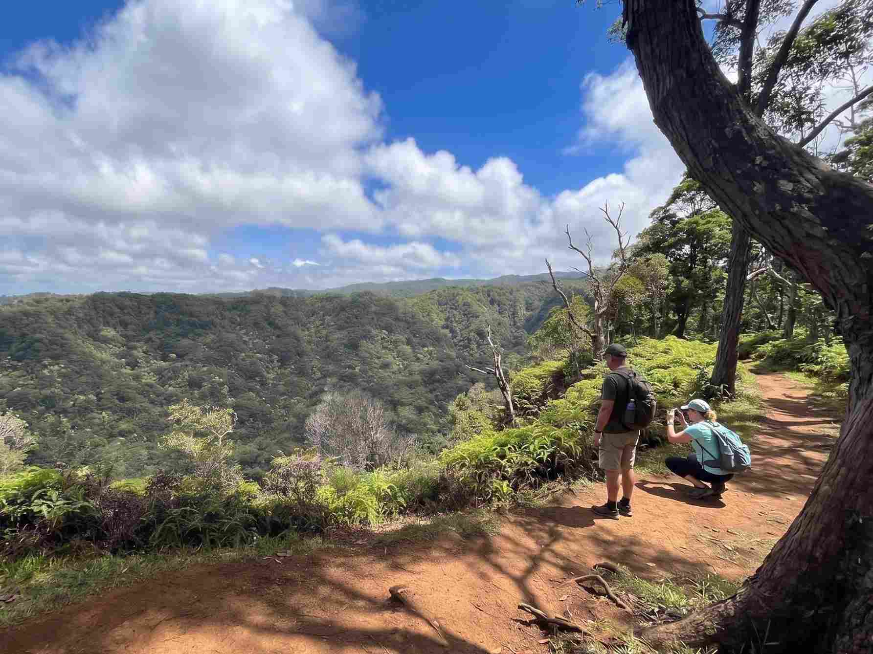 ʻAiea Loop Trail