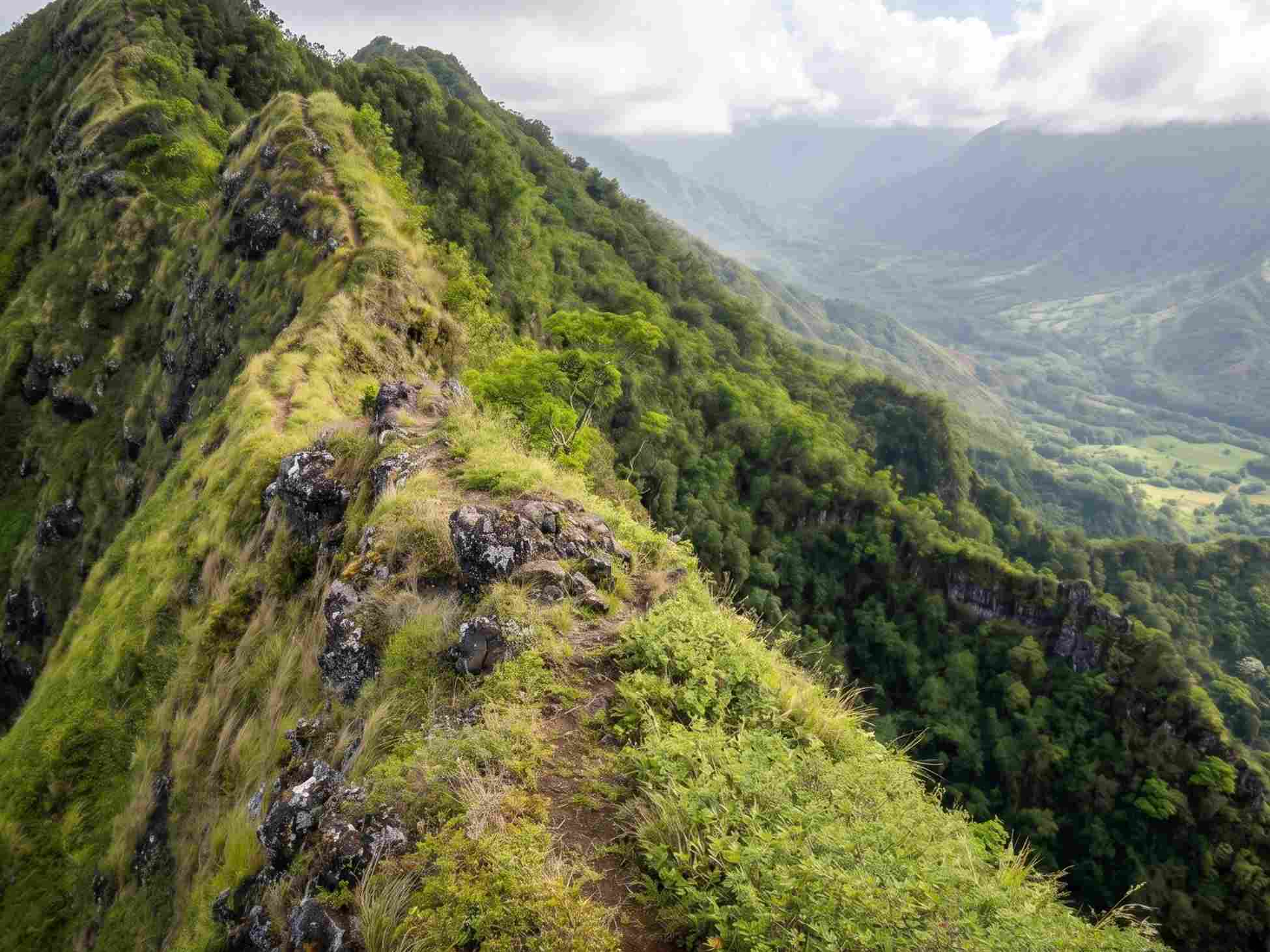 Crouching Lion Trail