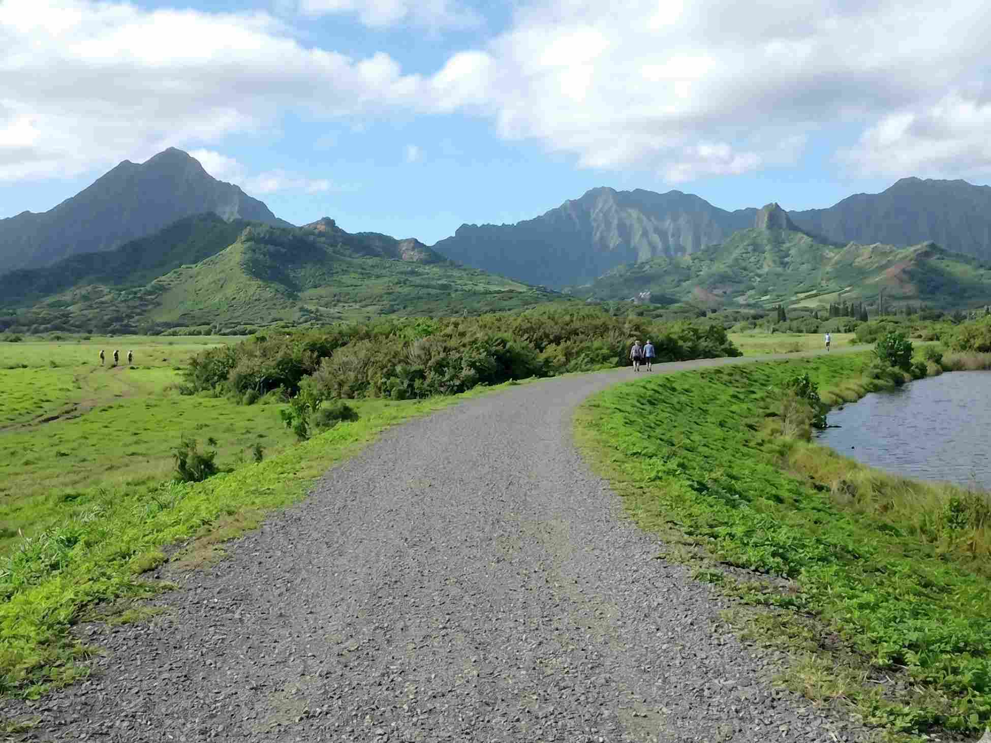 Kawainui Marsh Trail 