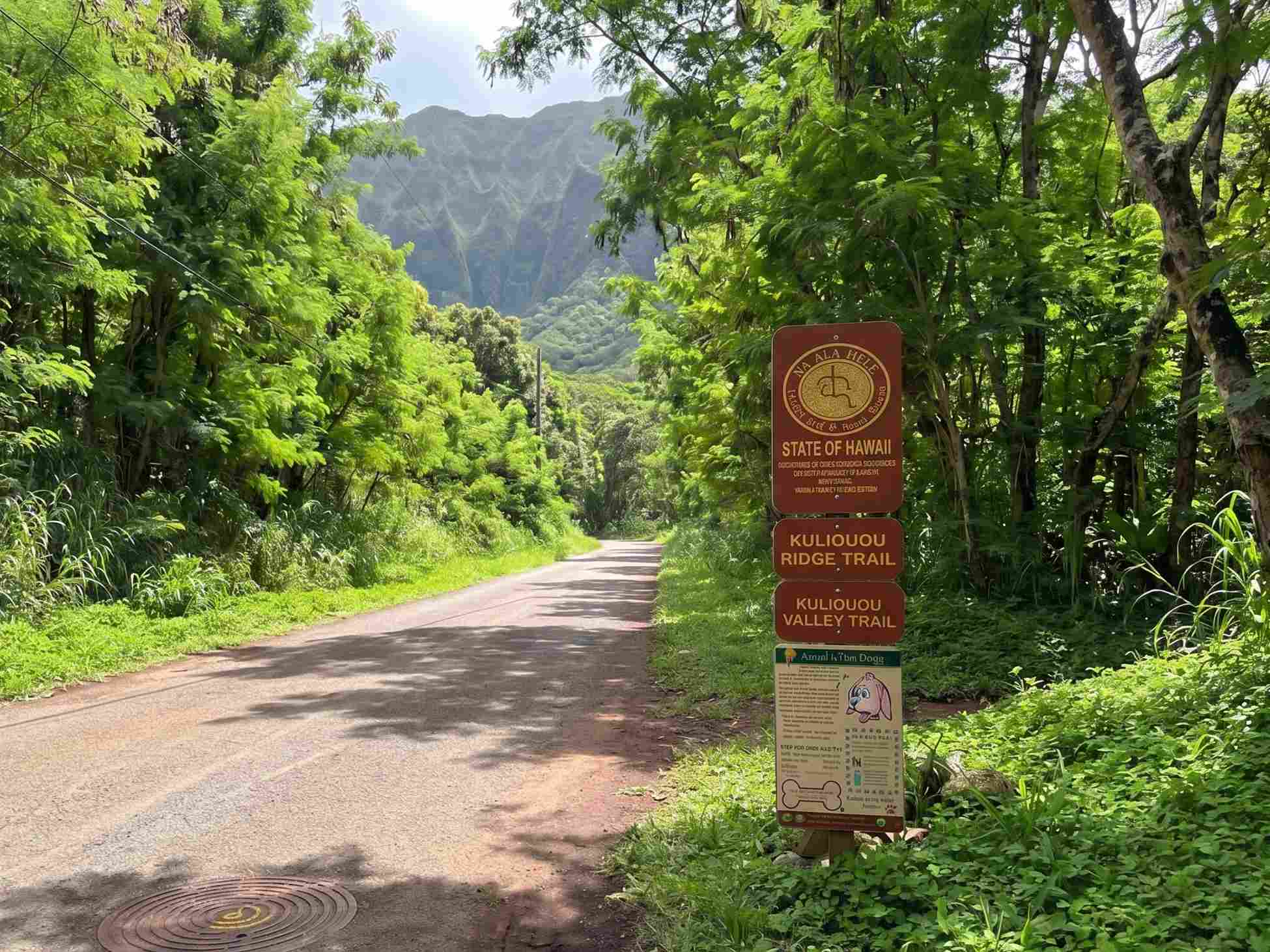 Kuliʻouʻou Ridge Trail
